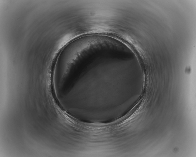X0000099421459200805091232