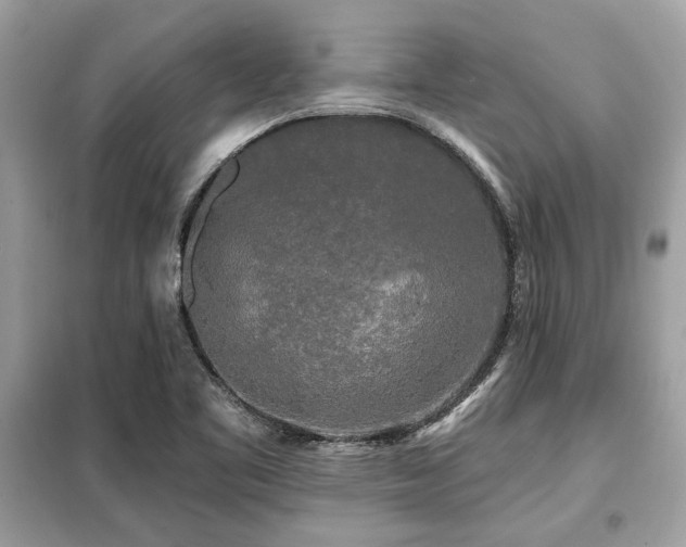 X0000099421461200805091232