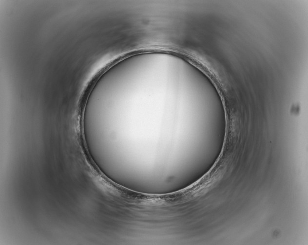 X0000099421462200805091232