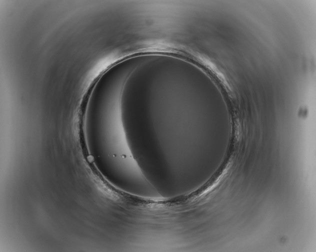 X0000099421463200805091232