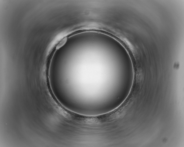 X0000099421464200805091232