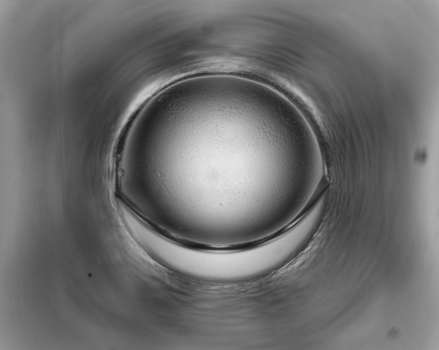 X0000099421467200805091232