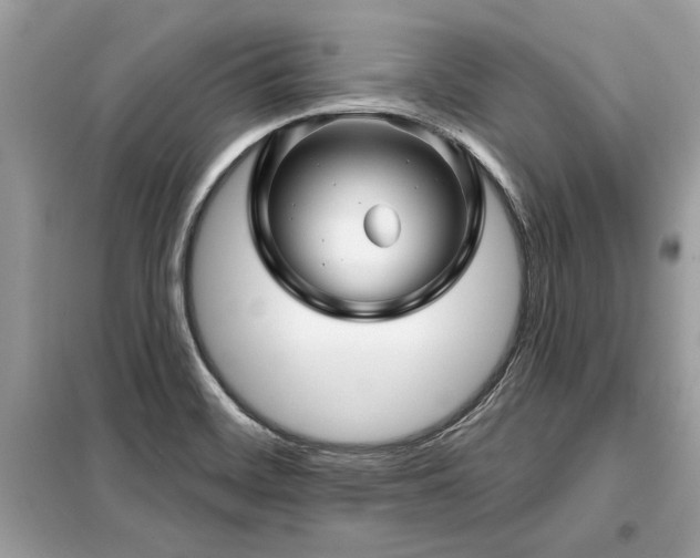 X0000099421468200805091232