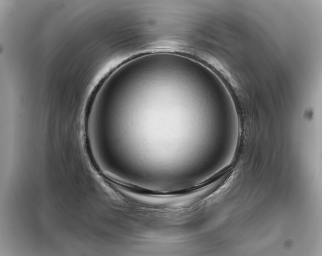 X0000099421469200805091231