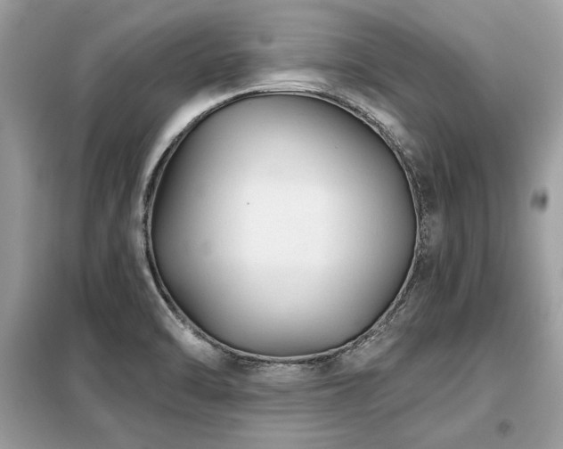 X0000099421470200805091231