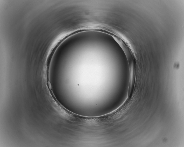 X0000099421472200805091231