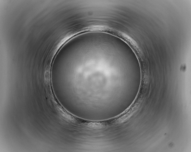 X0000099421473200805091231