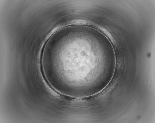 X0000099421475200805091231