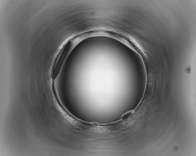 X0000099421476200805091231