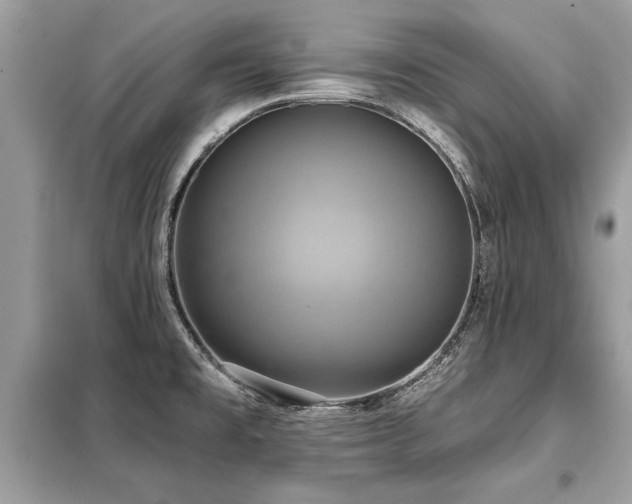 X0000099421477200805091231