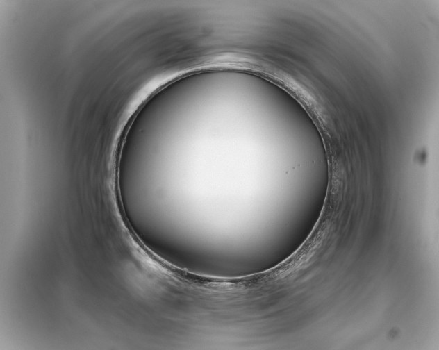 X0000099421478200805091231