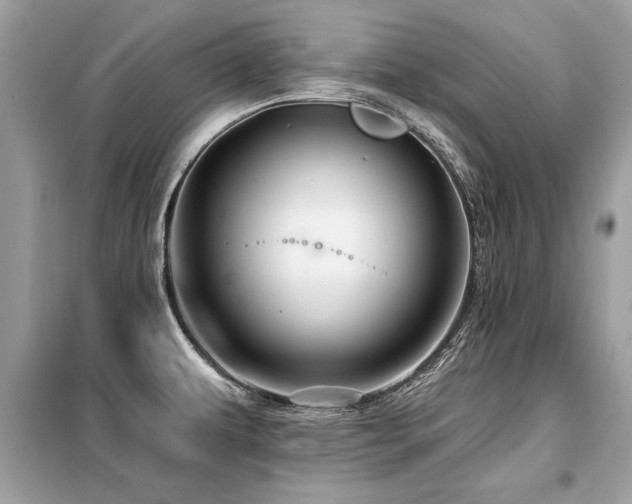 X0000099421479200805091231