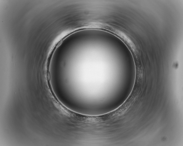 X0000099421480200805091231