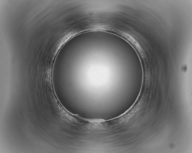 X0000099421481200805091231