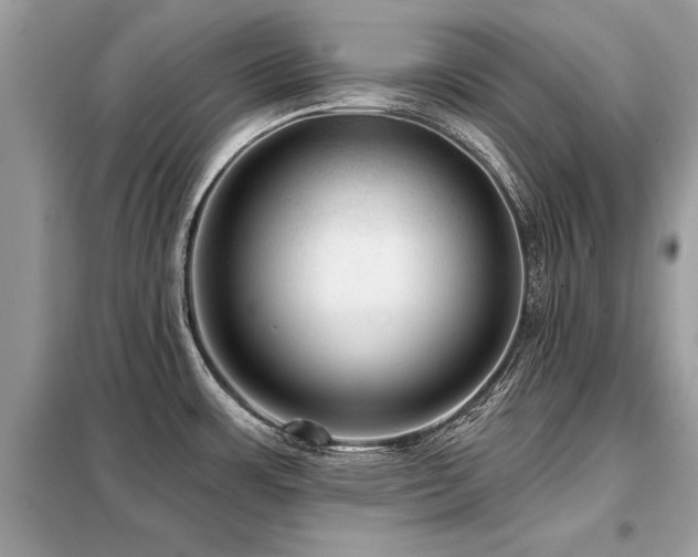 X0000099421483200805091231