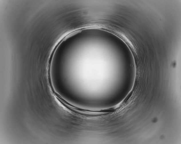 X0000099421484200805091231