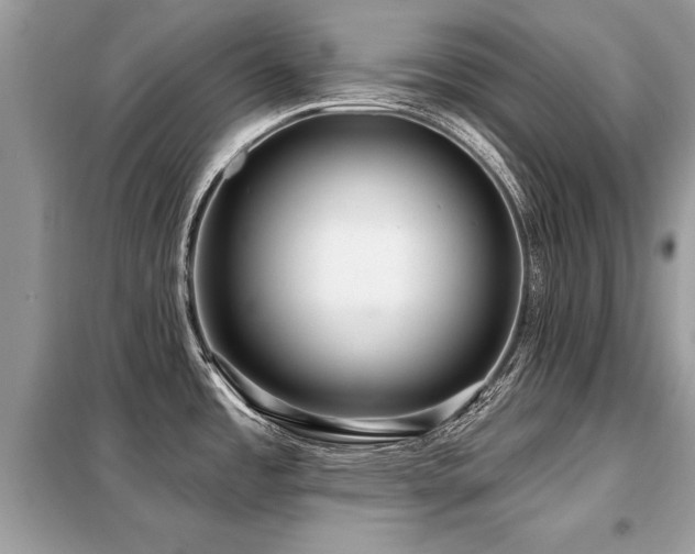 X0000099421485200805091231