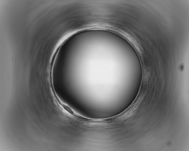 X0000099421486200805091231