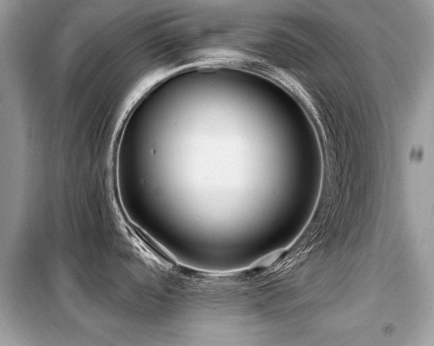 X0000099421488200805091231
