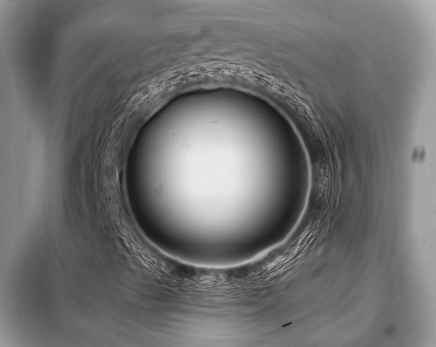 X0000099421489200805091231