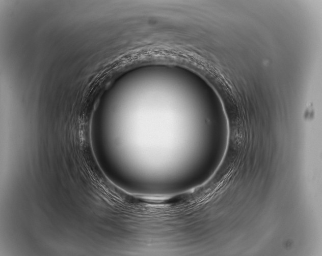 X0000099421490200805091231
