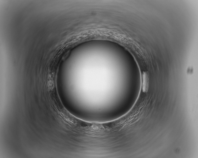 X0000099421491200805091231