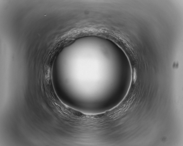 X0000099421492200805091231