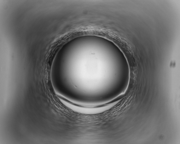X0000099421493200805091231