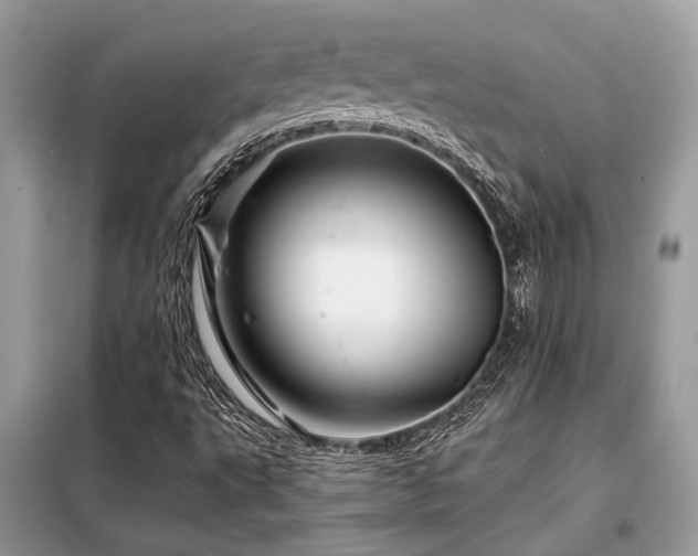 X0000099421495200805091231