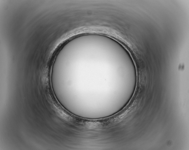 X0000099421498200805091231