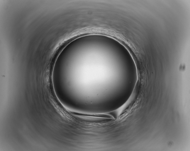 X0000099421499200805091231