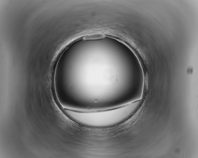 X0000099421500200805091231
