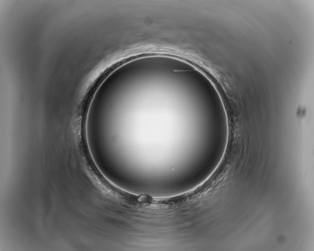 X0000099421503200805091231