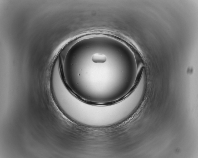X0000099421504200805091231