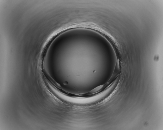 X0000099421506200805091231