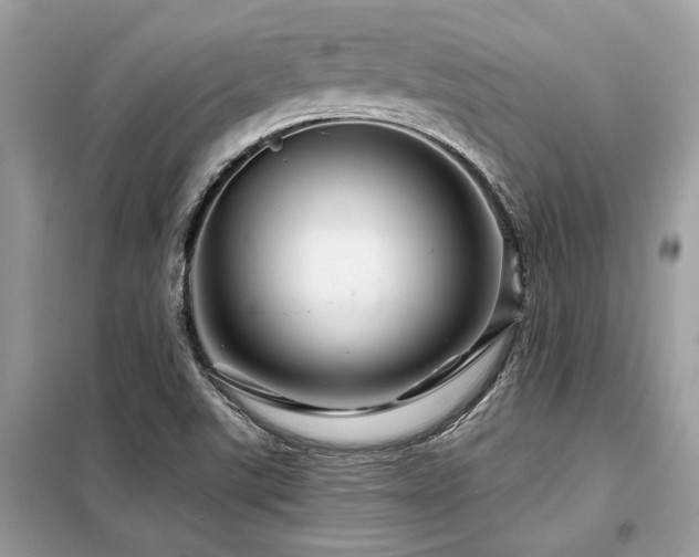 X0000099421507200805091231