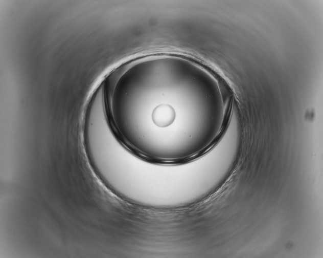 X0000099421508200805091231