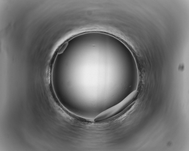 X0000099421510200805091231