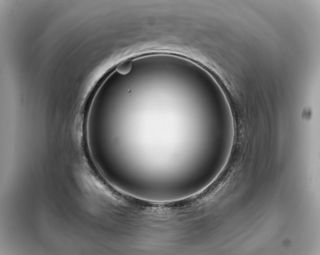 X0000099421511200805091231