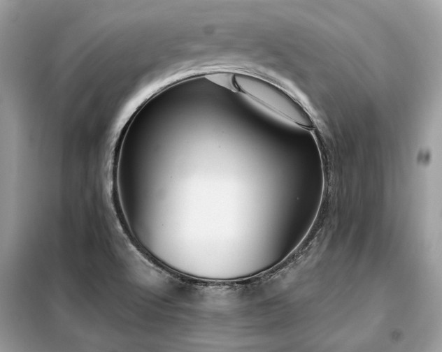 X0000099421512200805091231
