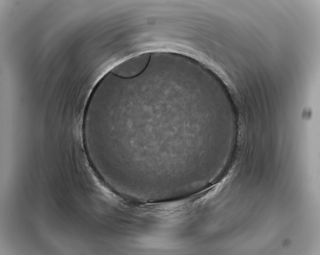X0000099421513200805091231