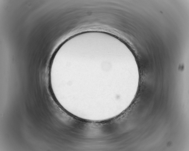 X0000099421514200805091231