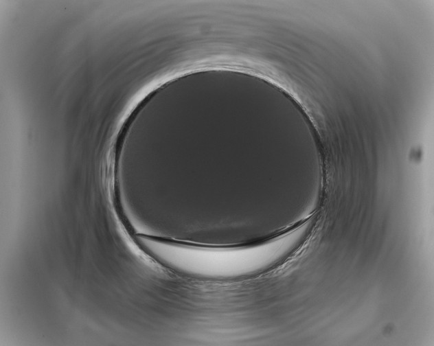 X0000099421515200805091231