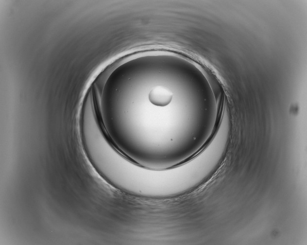 X0000099421516200805091231
