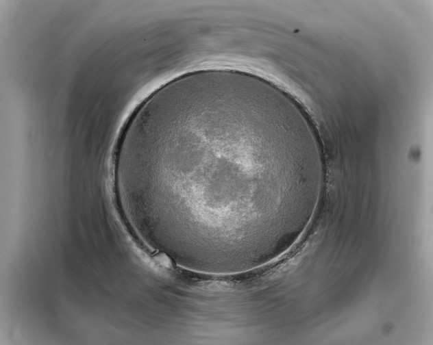X0000099421517200805091231
