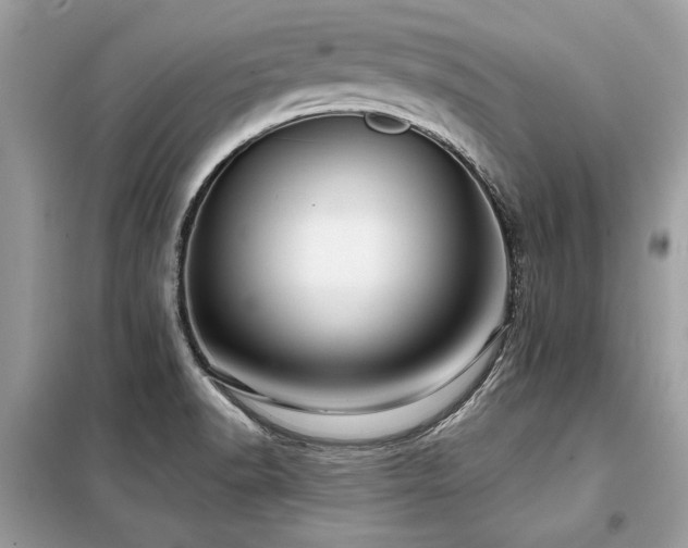 X0000099421518200805091231