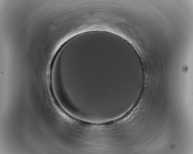 X0000099421519200805091231