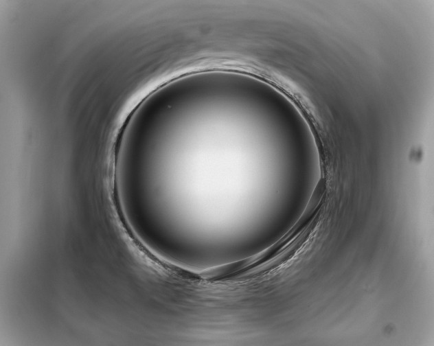 X0000099421520200805091231