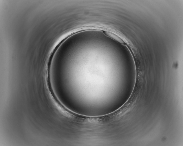 X0000099421523200805091231