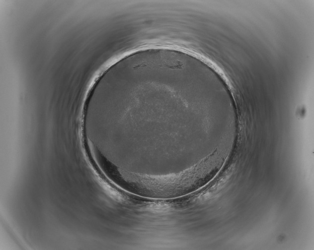 X0000099421525200805091231